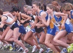 Harriers at the Gun - Thanks to G.Bridgman, Central Mass Striders