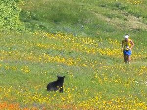 Eric Blake's only competition at Loon was a heavy-set local (Photo: scottmasonphoto.com)